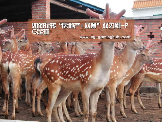 PG地址