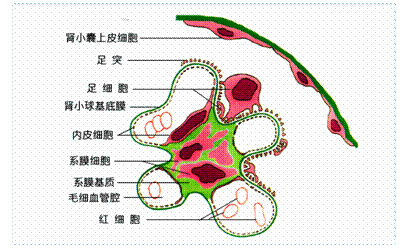 PG电竞