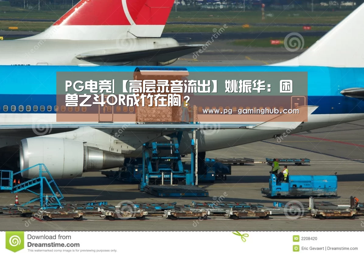 PG电竞|【高层录音流出】姚振华:困兽之斗OR成竹在胸?(图4) PG赛事