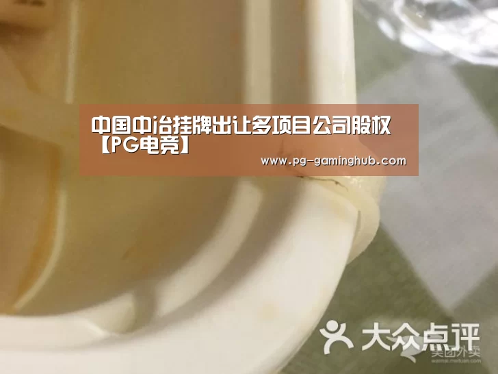 中国中冶挂牌出让多项目公司股权【PG电竞】(图3) PG赛事