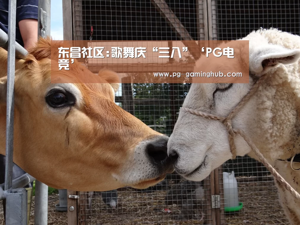 东昌社区:歌舞庆“三八”‘PG电竞’(图1) PG赛事