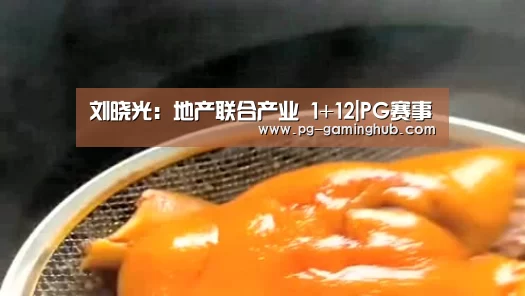 刘晓光:地产联合产业 1+12|PG赛事(图3) PG地址
